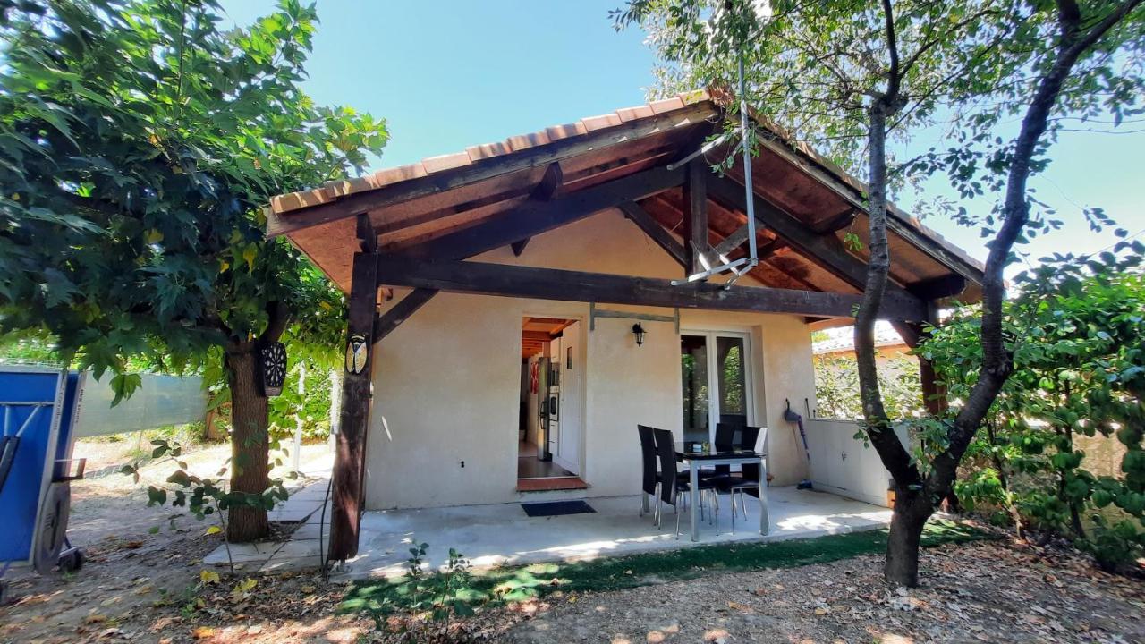 Promo 2-9Juin Gite 6 Personnes Toulouse 7Mn Du Metro 4 Lits Terrasses Gragnague Exterior foto